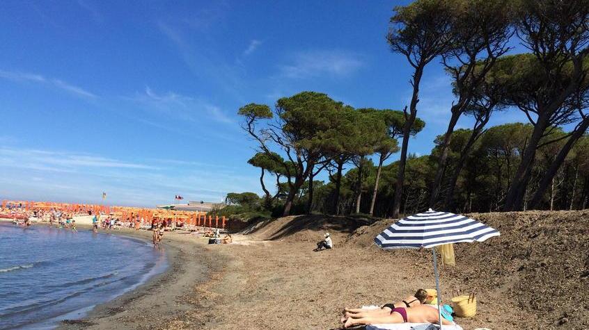 Vada, gli stabilimenti ora chiedono più spazio: «Disposti a gestire zone di spiaggia libera»
