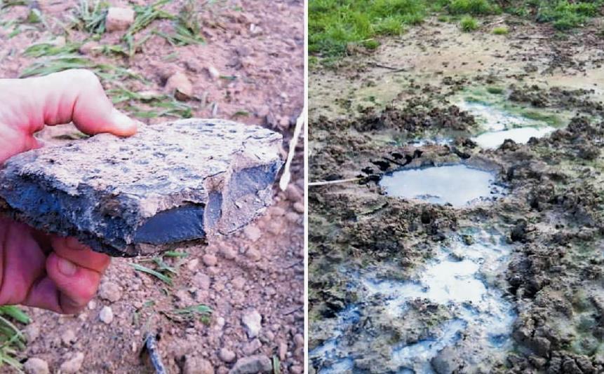 Rifiuti nocivi spacciati per concime: le prime chiazze blu nei campi già tra il 2013 e il 2014 