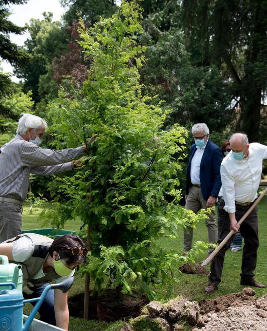 Una sequoia per festeggiare i 200 anni dell’orto botanico 