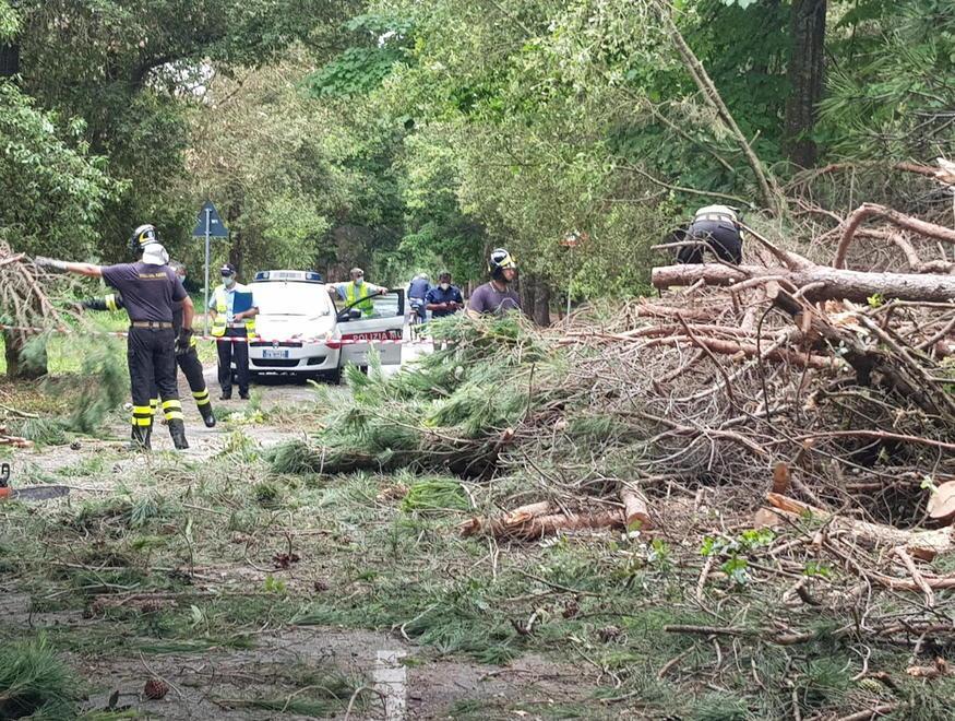 Il Viale dei Tigli è chiuso ma il divieto è... fantasma 