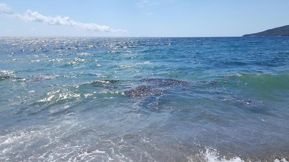 In mare un tappeto di microplastica «Sono i resti delle ecoballe»