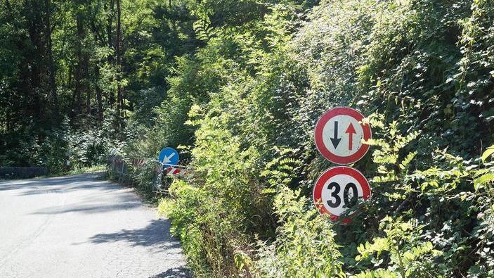 La Provincia fa appello ai sindaci per il taglio dell’erba in pianura
