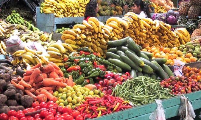 Agricoltura digitale Il progetto Camarg candidato a Regiostars
