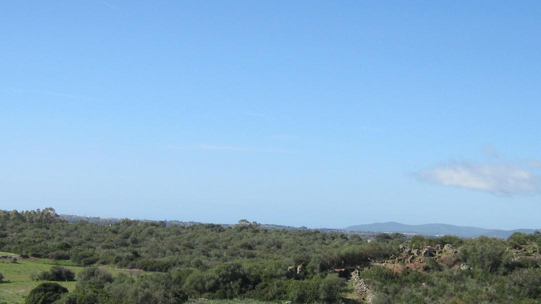 Alghero, una “digital farming” dedicata all’olio