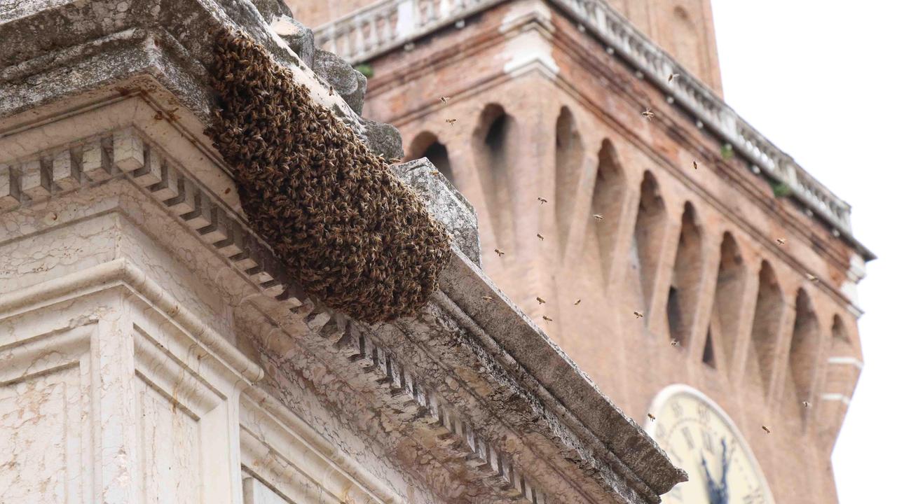 Ferrara. Fra' Savonarola avvolto dalle api
