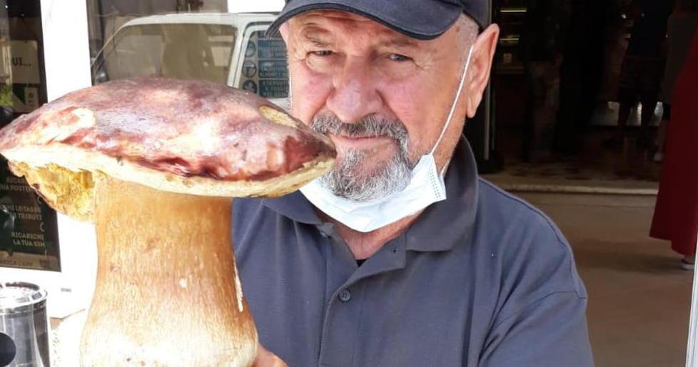 Un porcino da record