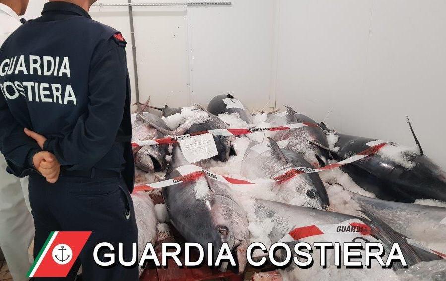 Olbia, la guardia costiera sequestra undici tonni rossi 