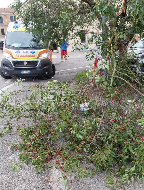 Pontegradella, donna cade dal ciliegio: è il terzo caso 