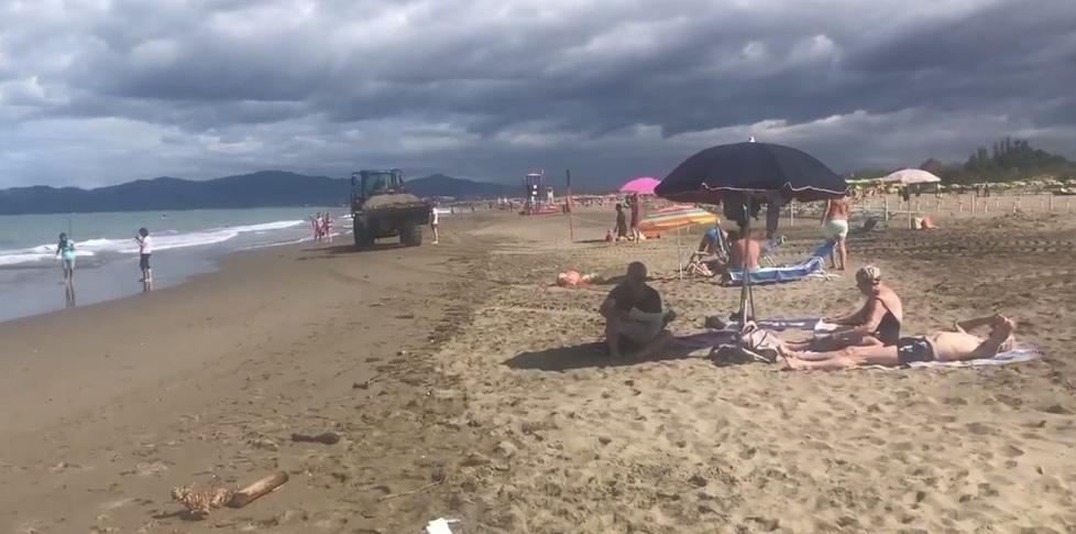 Ruspa tra i bagnanti in spiaggia a Principina Il Comune chiede lumi
