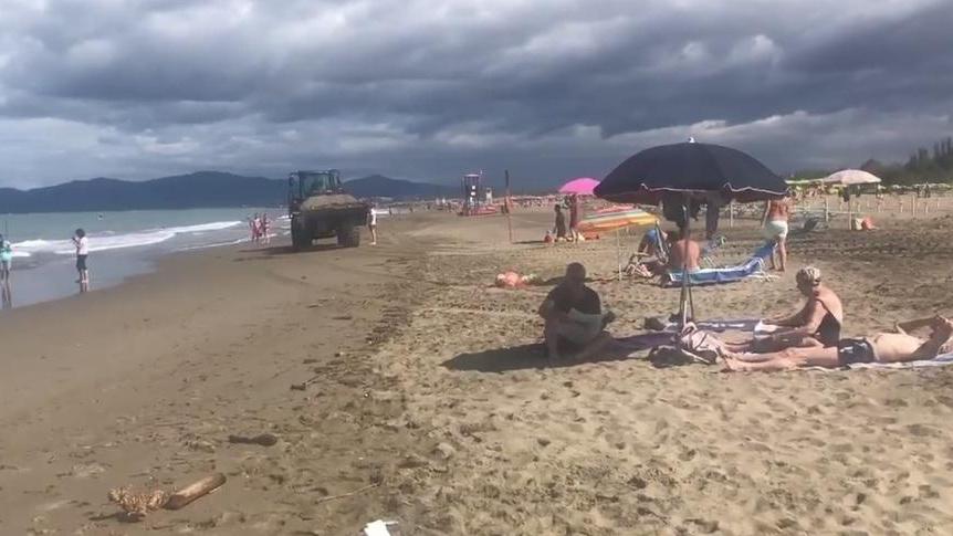Ruspa tra i bagnanti in spiaggia a Principina Il Comune chiede lumi