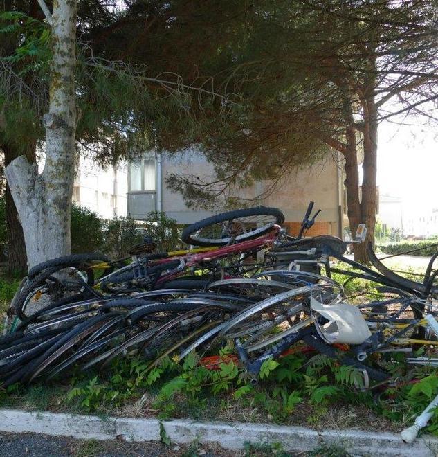 Il Comune fa rimuovere le biciclette accatastate