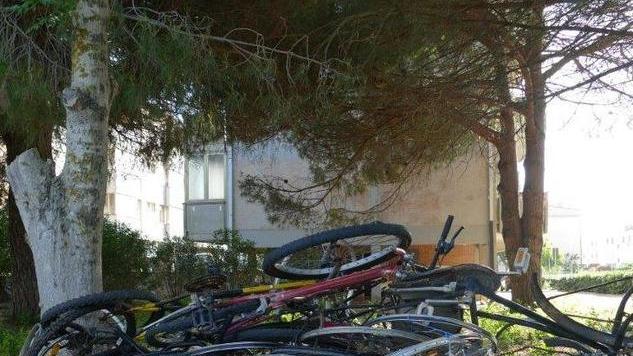 Il Comune fa rimuovere le biciclette accatastate