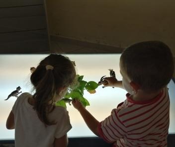 Cinque campi estivi al via per la fascia 3-14 anni
