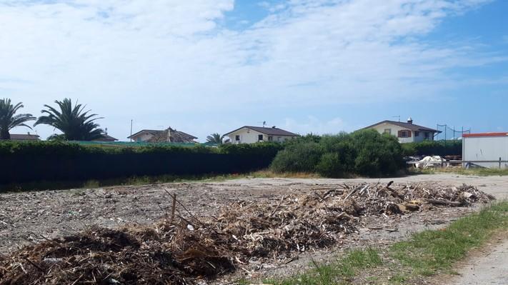Spiagge libere piene di legna. E nessuno pulisce