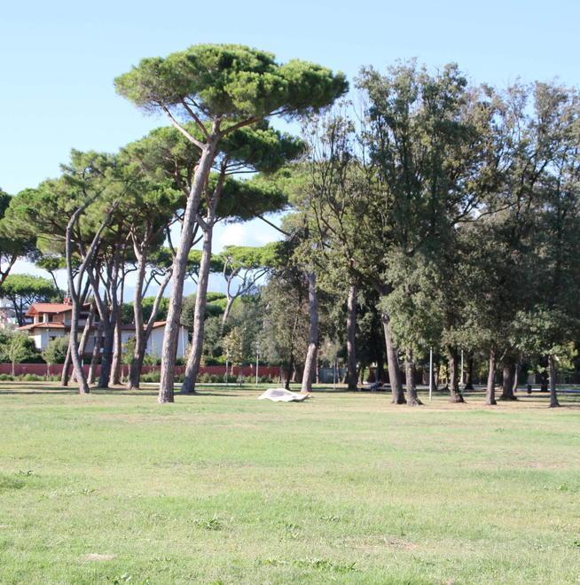 Al cinema in bicicletta Bussoladomani s’inventa il drive-in ecosostenibile