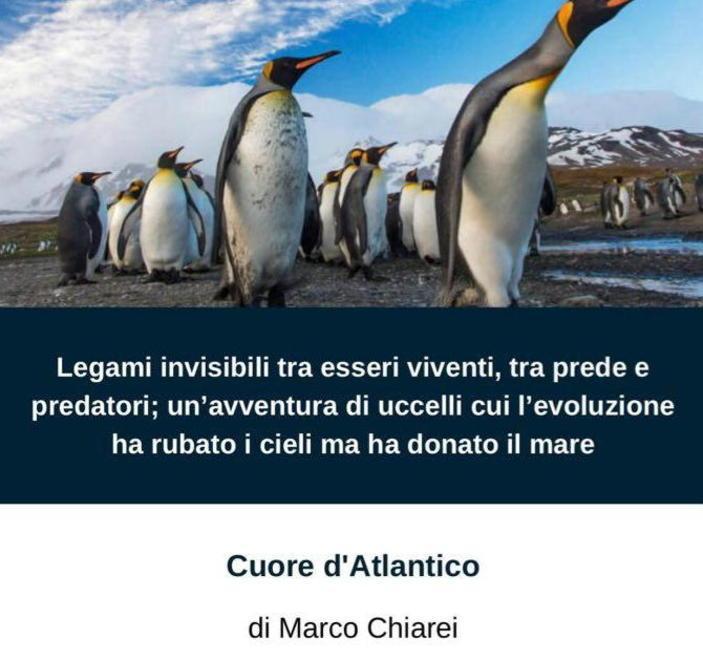 Crowdfunding letterario per “Cuore d’Atlantico” 