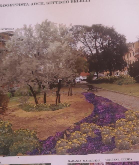 Fiori colorati e alberi nei giardini pubblici