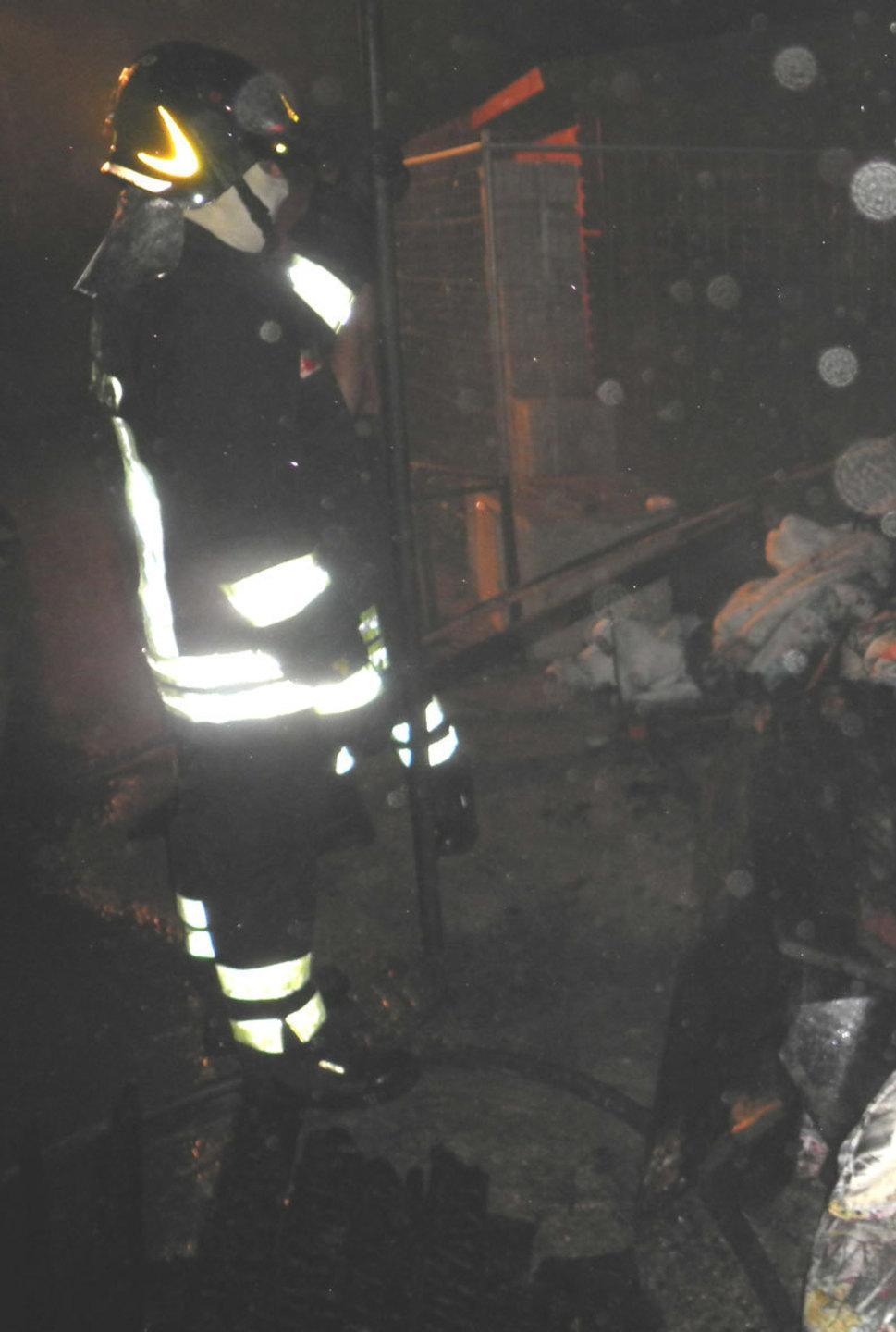 Cani avvelenati e bruciati dentro le cucce