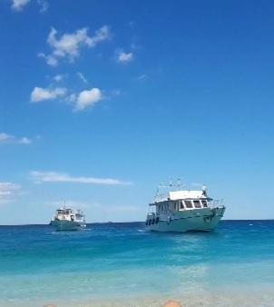 Motonavi, riparte l’estate «Più costi e meno turisti» 