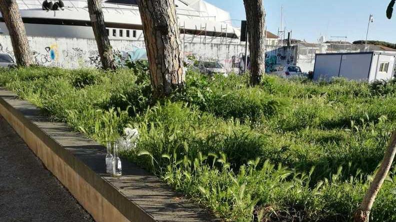 Picchia e rapina due ragazzi in Darsena, ventenne arrestato