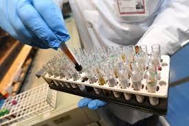 Fondazione Gimbe, Sardegna: in 7 giorni solo un caso in più di Covid