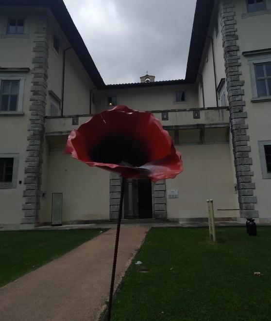 Staffetta artistica per “Il Papavero” di Bichi