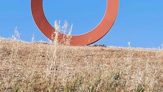 Gli “angeli custodi” per le opere di Staccioli