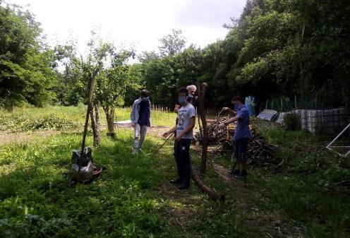Tra natura e sicurezza La proposta di Geos insieme a Sensoverde