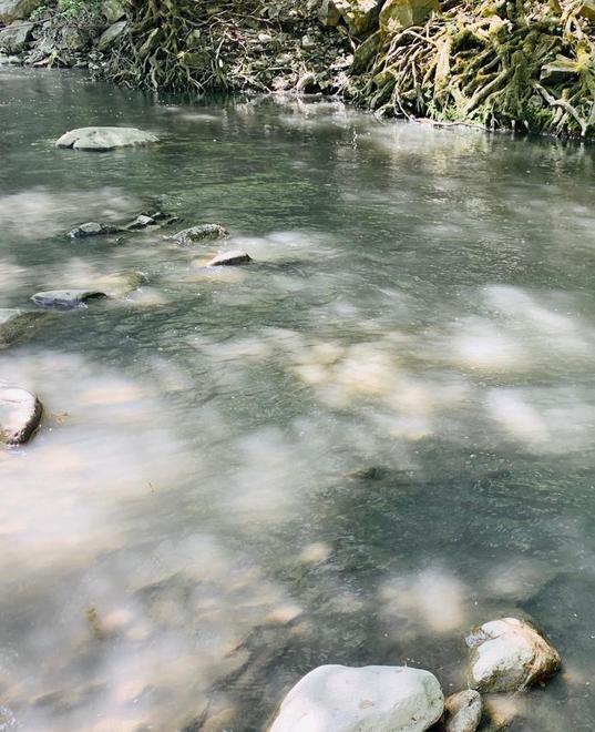 «Stanchi di pagare danni di altri Ora si sistemi quel depuratore» 