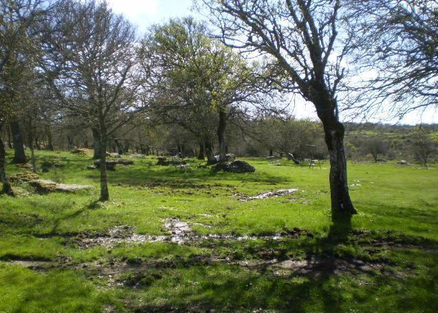 Via al bando per arruolare barracelli 