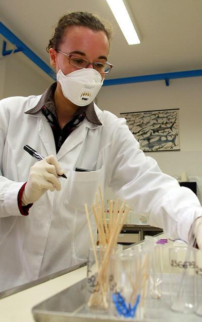 Lo studio modenese: «I test sierologici rapidi? Performance bassa: sono sconsigliati»