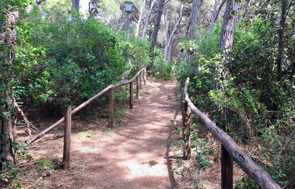 Una delle vie che dalla pineta, dove è avvenuta la rissa, porta verso il mare (foto Michele Falorni/Silvi)