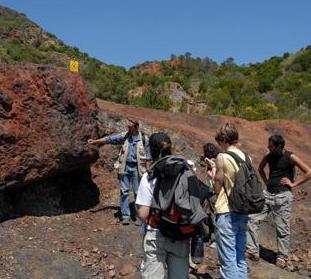 Ospiti che preferivano altri lidi si stanno interessando all’Isola 