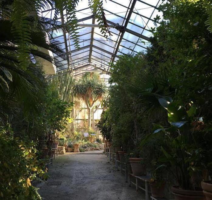 Due milioni e mezzo di euro per aiutare la floricoltura 