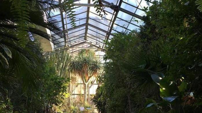 Due milioni e mezzo di euro per aiutare la floricoltura