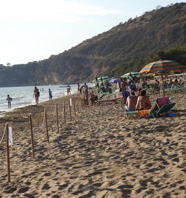 Al mare con Fido alla scoperta delle sette “bau beach” 