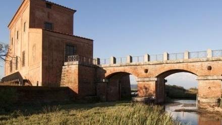 Incubo serafiche al mare «Ho 30 “medaglioni” rossi»