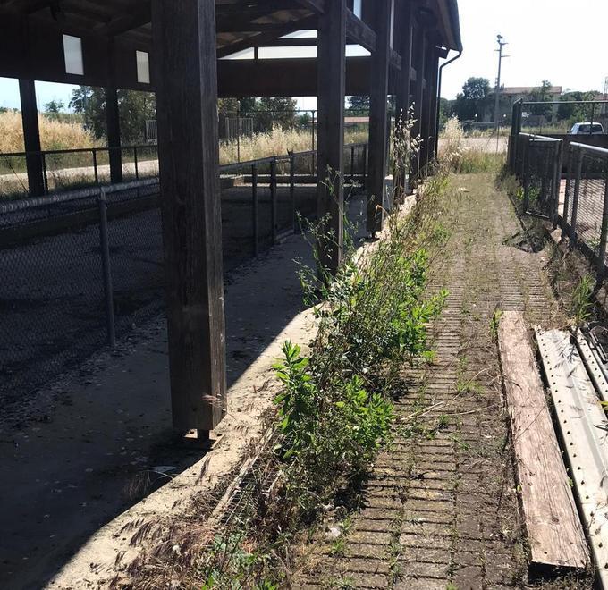 «Incuria, sporcizia e degrado agli impianti sportivi»