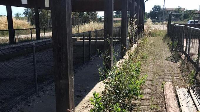 «Incuria, sporcizia e degrado agli impianti sportivi»