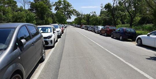 Dieci chilometri all’ora di limite lungo il viale delle Cascine 