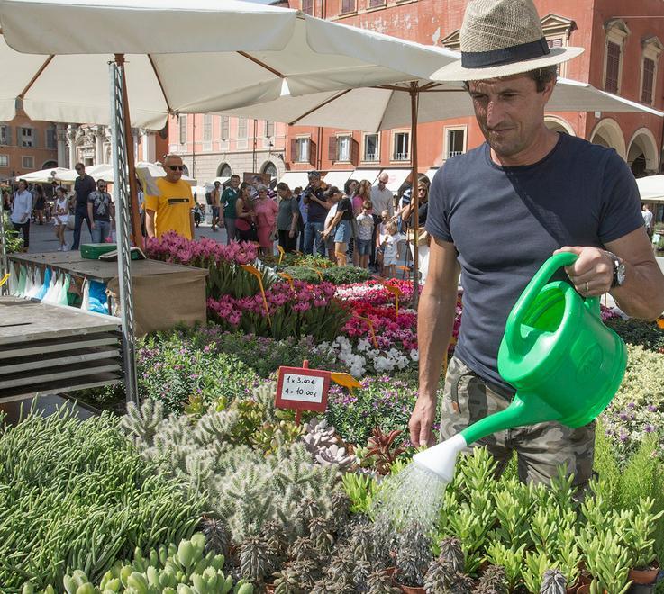 E la piazza si trasforma in un grande giardino: arriva “Modena in fiore”