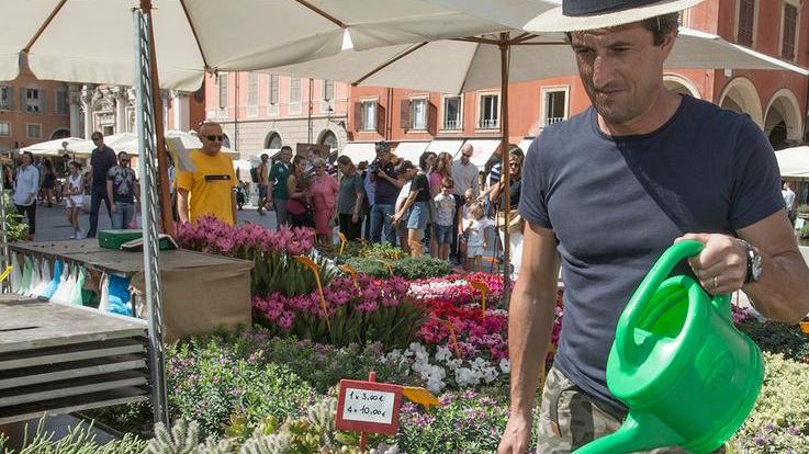 E la piazza si trasforma in un grande giardino: arriva “Modena in fiore”