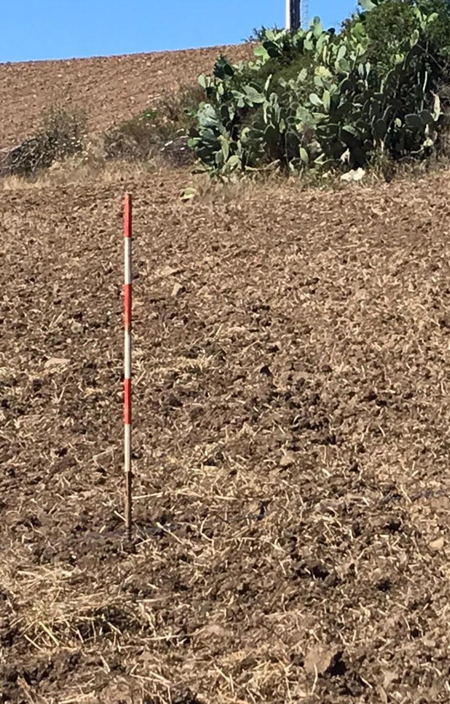 Fordongianus, alla ricerca di impulsi elettrici 