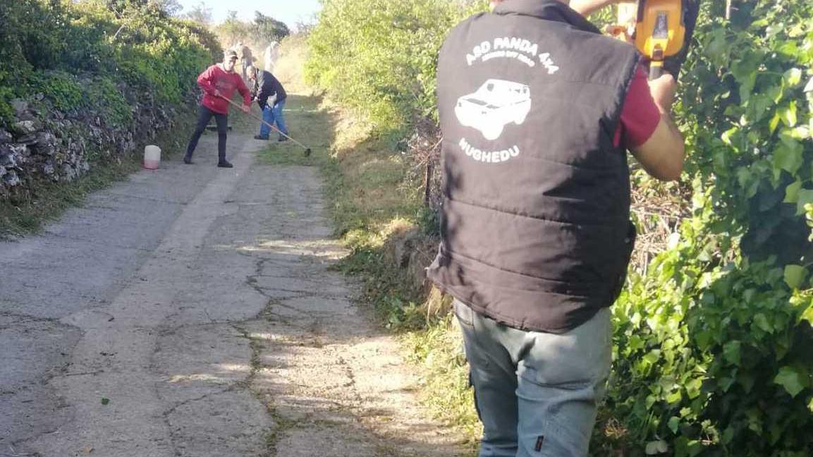 Forestazione, cantieri per 37 disoccupati