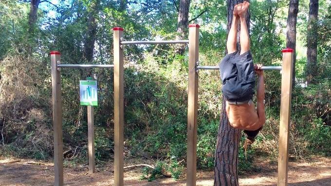 Ginnastica all'aria aperta nella pineta di Marina