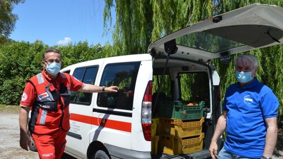 Produttori agricoli Solidarietà dal campo attraverso SpesAmica