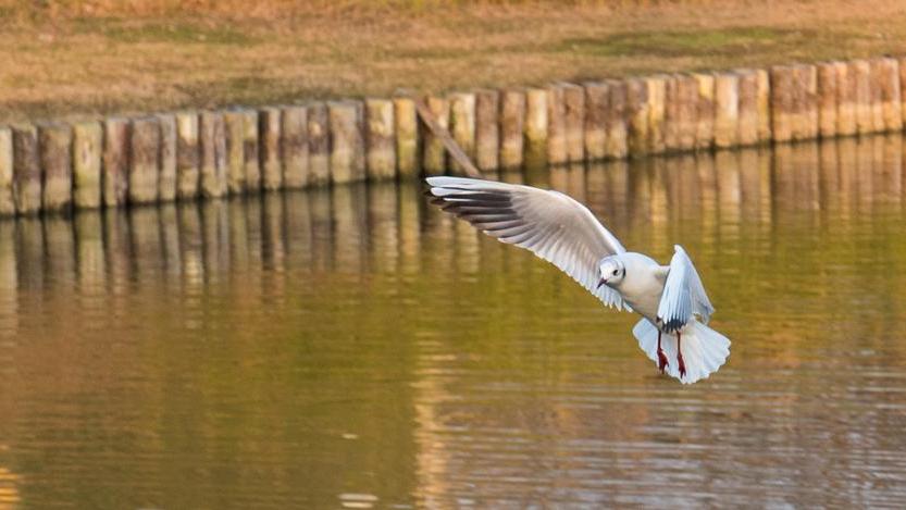 Escursione notturna e fotografica nel cuore delle Valli