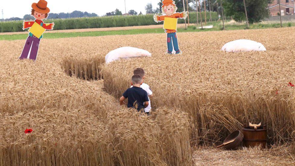 Il re del consorzio a quota 80 «L’agricoltura la mia vita»