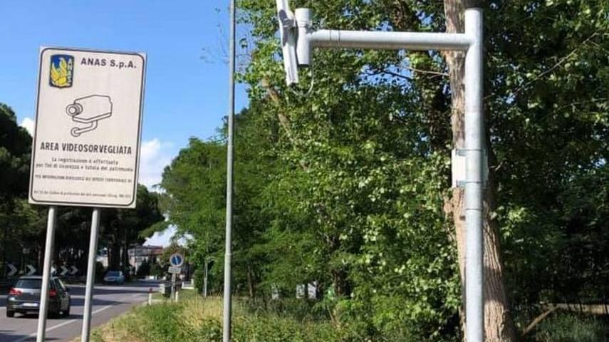 Mesola, autovelox in funzione da luglio: scatta la protesta della gente