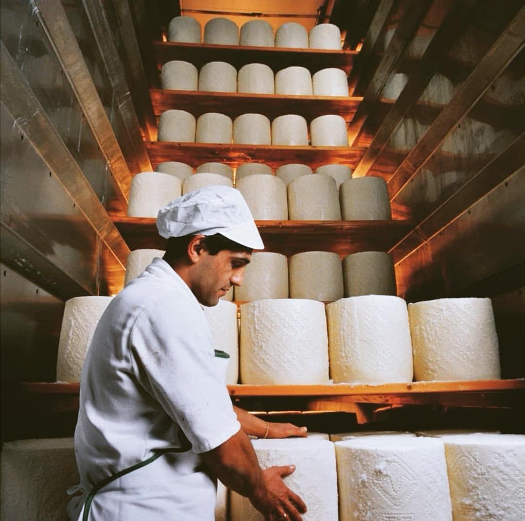 Via libera dell'Ue agli aiuti alla filiera di pecorino
